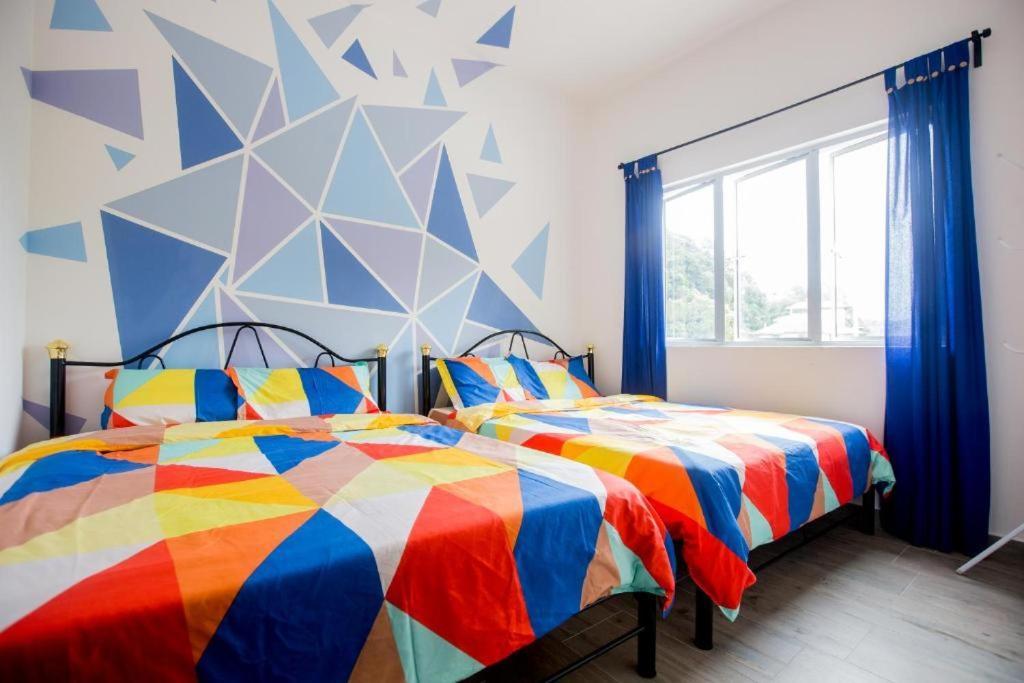 Apartment Icolor & Ch1 *